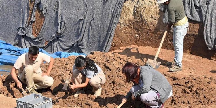 8 bin yıllık ‘balık figürü’ bulundu