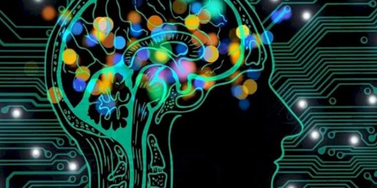 Türkiye’nin en zeki illeri belli oldu… İşte IQ ortalaması en yüksek olanlar
