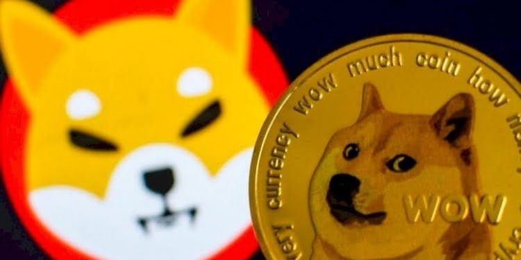 Edward Snowden’dan Shiba Inu çıkışı