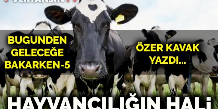 Bugünden geleceğe bakarken-5: Hayvancılığın hali