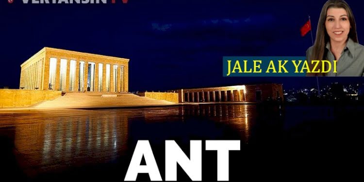 Ant