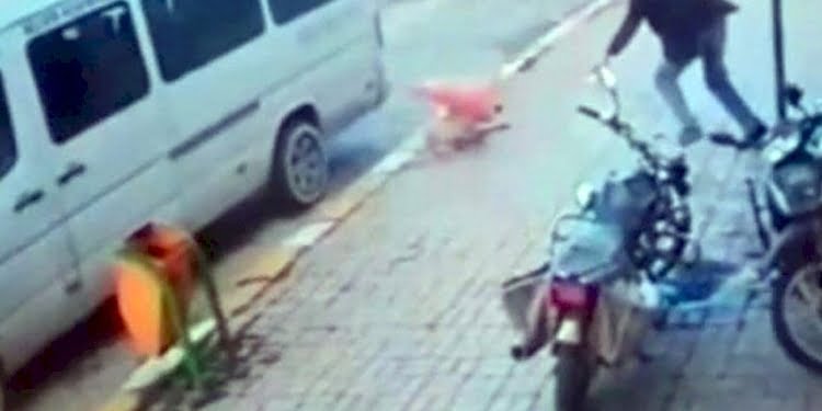 Köpeği önce minibüsle ezdiler, sonra dubayla vurdular