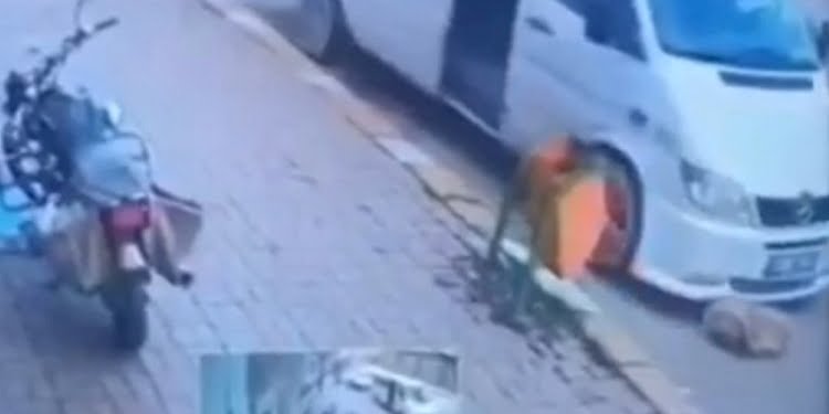 İnsanlık ölmüş! Köpeğin üzerine minibüs sürüp duba fırlattılar