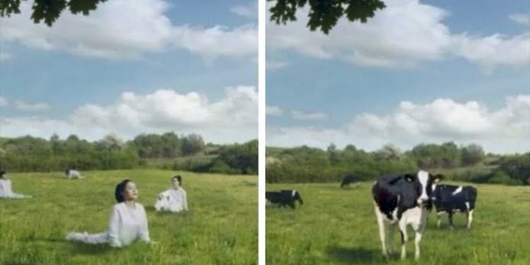 Süt firması, kadınları ‘inek’ gibi gösteren reklam için özür diledi