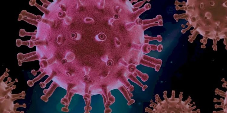 ‘Omicron, Akciğer solunum yollarında 70 kat daha hızlı yayılıyor’