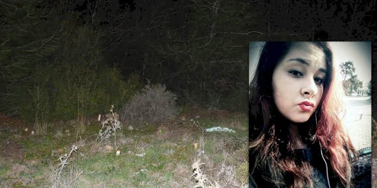 Cesedi ormanda bulunmuştu… Ayşe Nazlı cinayetinde yeni gelişme