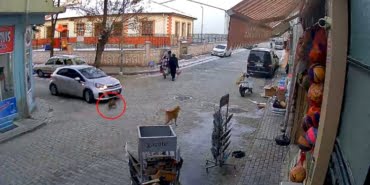 image_750x_61c450ab1d6a3