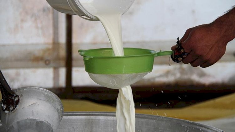 Süt üretici birliklerinden kritik uyarı: Bu gidişle üretilemeyecek