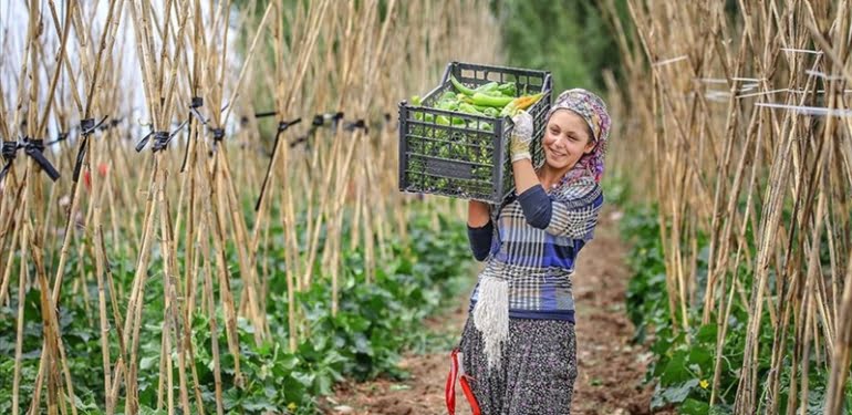 İyi Tarım ve Organik Tarım Destek Ödemeleri yarın başlıyor