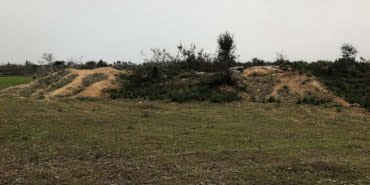 kacak-kazi-yapilan-alanda-tarihi-paralar-ele-gecirildi_5111_dhaphoto8