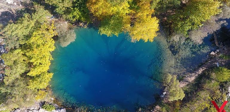Mahvederler diye tanıtmaya korktuğumuz doğa harikası: Yeşilgöz