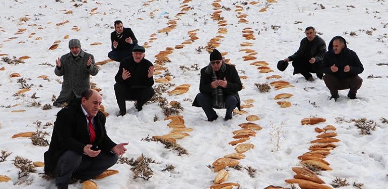 kaza-bela-def-olsun-diye-dogaya-2001-ekmek-biraktilar_2685_dhaphoto1