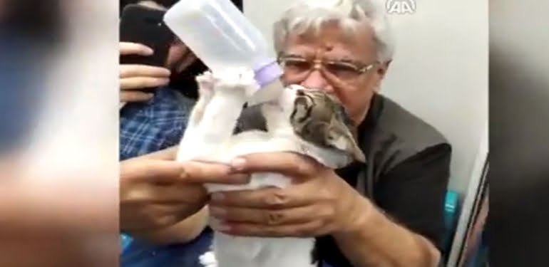 VİDEO – Marmaray’da bir kedi biberonla su içti