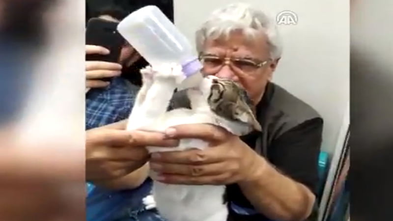 featured