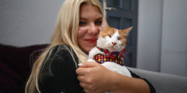 kedi