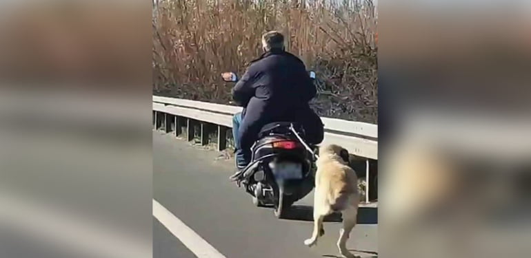 Motosikletle köpeği sürükledi, serbest kaldı