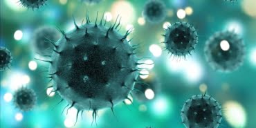 koronavirus-4