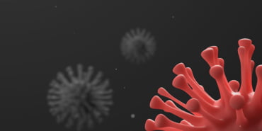 koronavirus