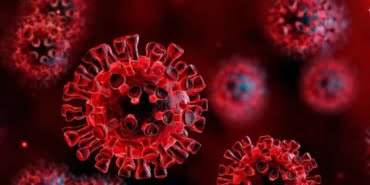 koronavirus-denek