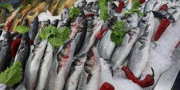 koronavirus-nedeniyle-levrek-cupra-somon-yok-satiyor-veryansintv-1