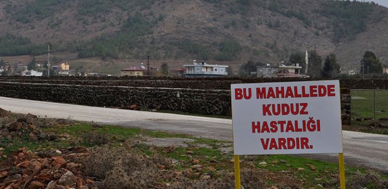 Kuduz şüphesi… Bir mahalle karantinaya alındı