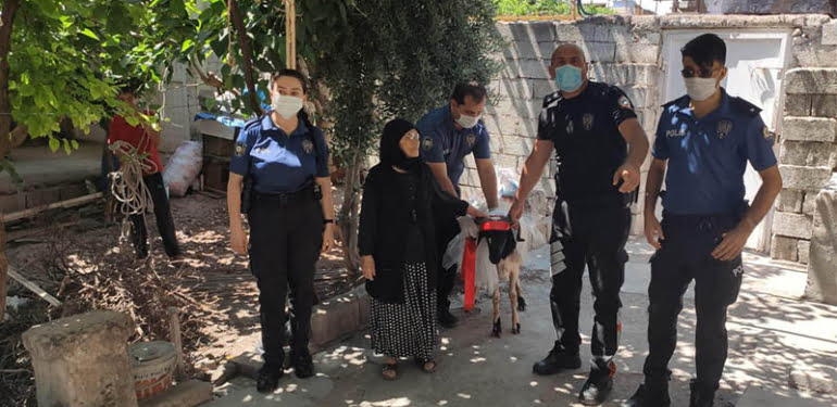 Kurbanlık parasını kaybeden Rahme Nine’ye polisler kurbanlık koyun aldı