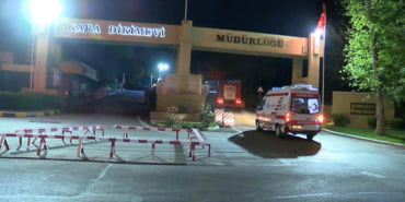 maltepe-dikimevi