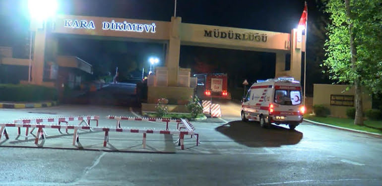 maltepe-dikimevi