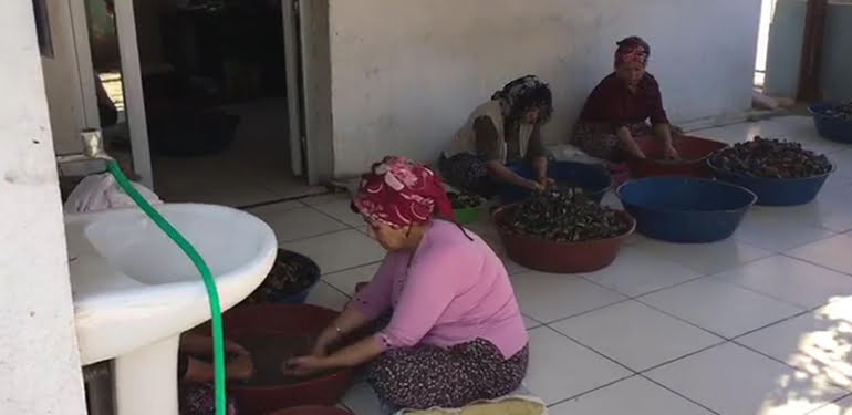 Merdiven altı midyeciler suçüstü yakalandı