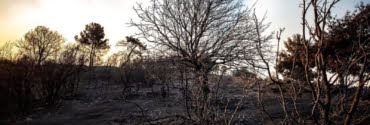 o3-e1566850060128