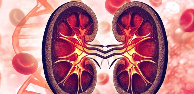 Organ bağışında o bölgemiz birinci