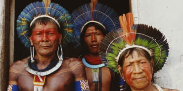 orman-yangini-amazon