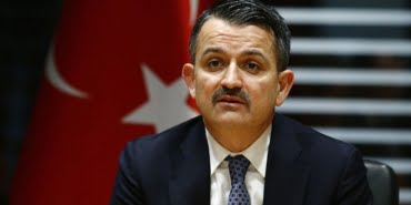 pakdemirli-2