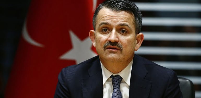 pakdemirli-2
