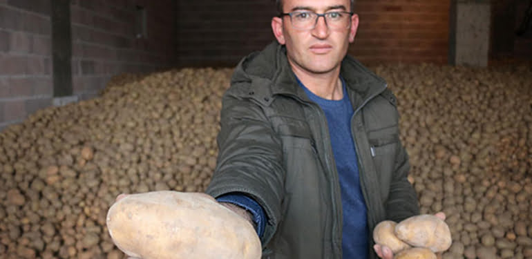 Patates depolarda alıcı bekliyor