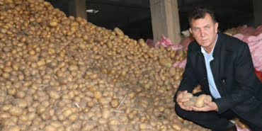 patates1-veryansintv