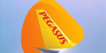 pegasus-4
