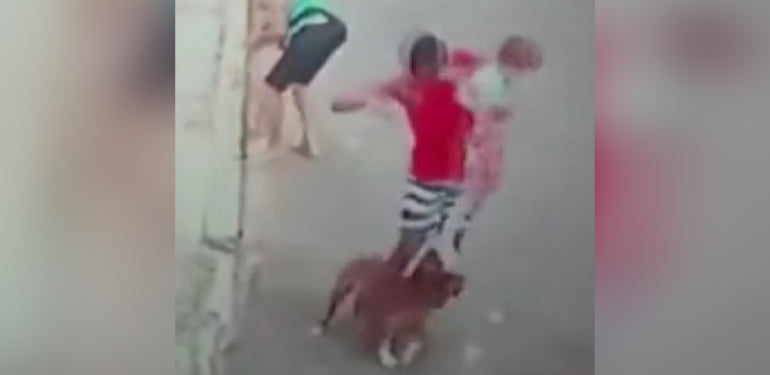 Pitbull saldırısına uğrayan çocuğu böyle kurtardı
