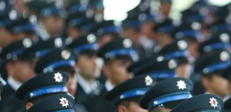 polis-3