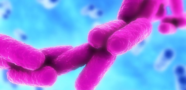 Antibiyotiğe dirençli bakteri Avrupa hastanelerinde yayılıyor