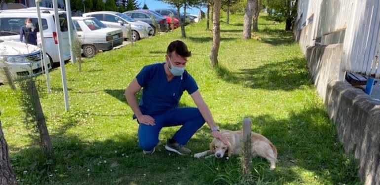 Sahibi tedaviye alınan köpek, hastane önünde bekliyor