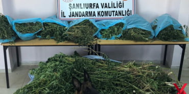 sanliurfa