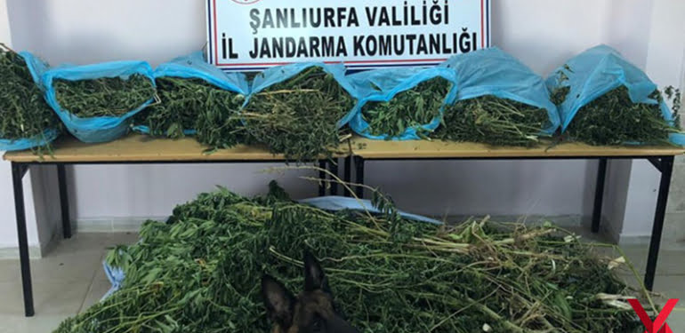 sanliurfa