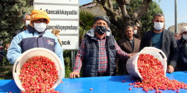sezonun-ilk-kirazi-kilosu-400-liradan-satildi_6992_dhaphoto1