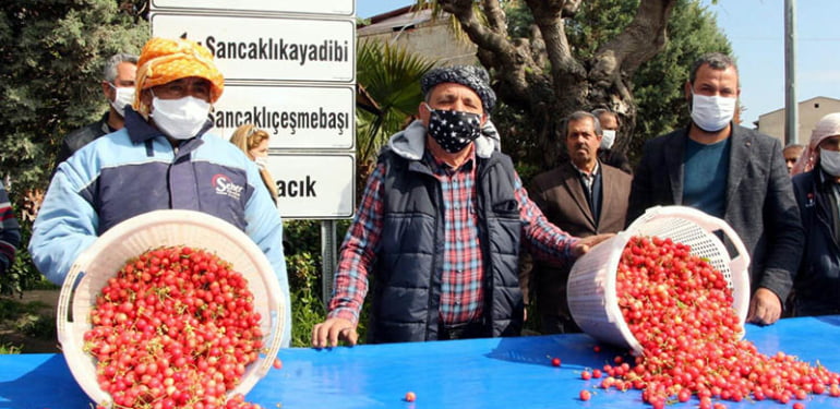 sezonun-ilk-kirazi-kilosu-400-liradan-satildi_6992_dhaphoto1