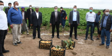 sogan-ve-patates-ureticilerinden-ithalat-engellensin-talebi_9799_dhaphoto1