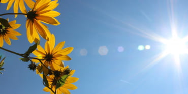 sonne