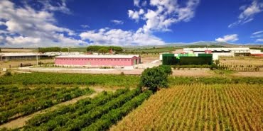 tarim-orman-surasi-veryansintv
