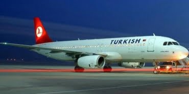 thy-1