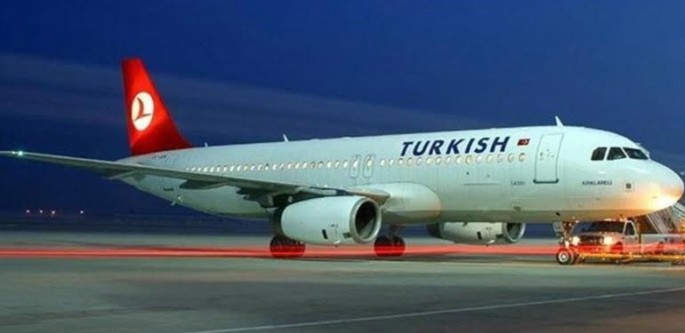thy-1
